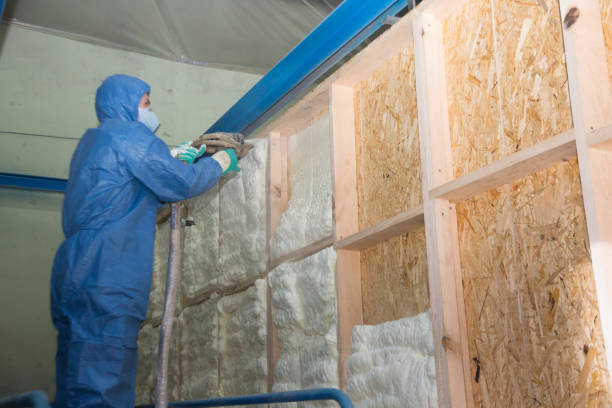Best Insulation for Commercial Buildings  in Floris, VA