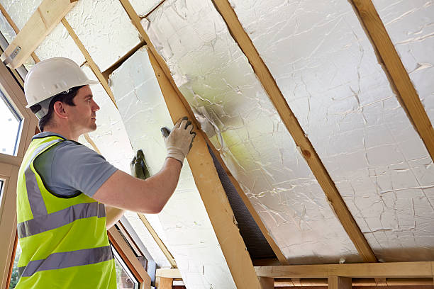 Best Garage Insulation Installation  in Floris, VA
